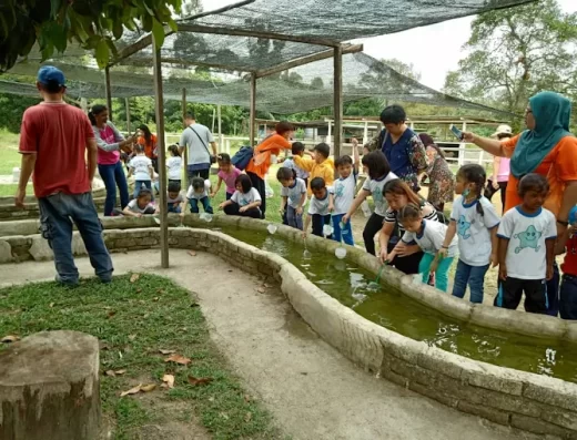 Aves World 农的传人 – Petting Zoo in Ulu Beranang