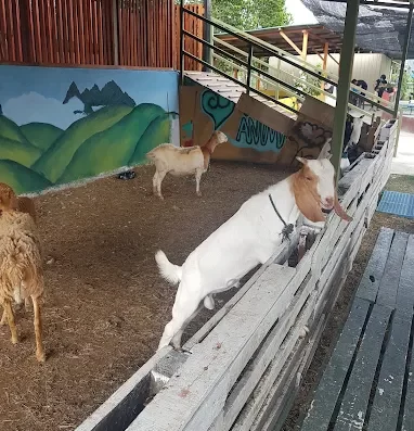 Aves World 农的传人 – Petting Zoo in Ulu Beranang